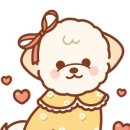 코코리 이미지