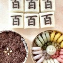 플레블리(fleurvely)