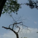 남궁농원 이미지