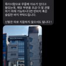핏메드