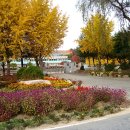 팔렬중학교 이미지