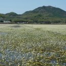 매화1공원 이미지