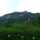 관음사지 이미지