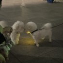 해변여관 이미지