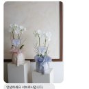 w9. [모담 다이닝] 상견례 후기(상견례 선물-다온설기 바람떡, 서브로사 호접란, 로또 이벤트)