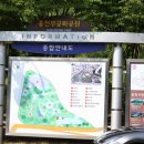 무궁화공원 농구장 이미지