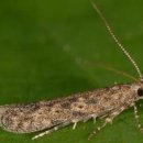 늘푸른소아청소년과의원 이미지