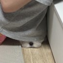 계령약국 이미지