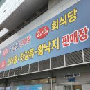 돌돔 활어회 내돈내산 후기 (가격 시세 제철 맛 등 총정리)