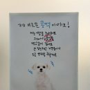 구갈지구대 사거리(더��) | 광주 수완 지구 증명사진, 프로필 사진 맛집 롶스튜디오 후기