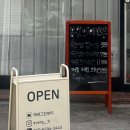 그린애견샵 | [대전 용문동] 애견동반 가능, 전문 왁싱샵 애버그린뷰티 눈썹왁싱 솔직후기