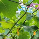 해보농장 이미지