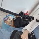 [부산 음악 페스티벌 / 부산여행 놀거리] 부산국제록페스티벌 후기(1-2일차, 10/4-5) #부국락