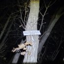 국사봉낚시터 이미지