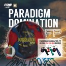 PARADIGM DOMINATION FP 이미지