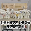 (11/30) 양모펠트_키링 | [대구 민생지원금 사용처] 94그리고에서 양모펠트 공예를 배워보자!