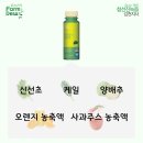 건강한 팜듀