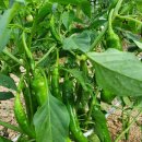 아이뜰유치원 이미지