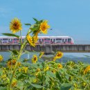 신곡농장 이미지