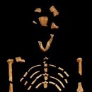 (주)루시미디어 이미지