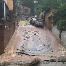 우면산5-9 이미지