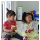 나나컴 Daum카페