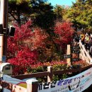 명덕호수공원 이미지