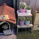 꽃도리집 이미지