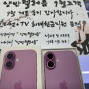 핑크텔레콤 이미지