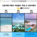 더위드삼사당구장 | [몰디브 리조트] 신혼여행 여행사 직원들이 직접 간 신혼여행 리조트