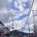 온심약국 이미지