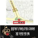 베어종합격투기