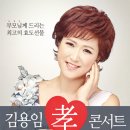 트로트 효 콘서트 이미지