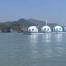 바다랑B펜션 이미지