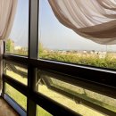 천사신안아구찜 이미지