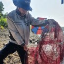 연곡저수지 이미지