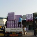 모서농협하나로마트 이미지