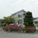 로즈마리 관광펜션 이미지