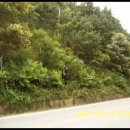 농협중앙지점 앞 보도 이미지