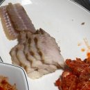 현대셀프 | 망원 합정 목포식당 이모카세 유명한 곳