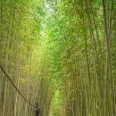 마고실쉼터(두꺼비다리) 이미지