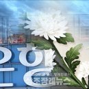 상조사