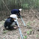 [대나무] 소풍바구니 만들기 이미지