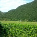 뉴설악펜션 이미지