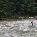 인제관광정보센터 이미지