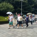 제주한라투어버스대절 이미지