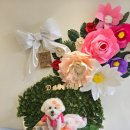 더블링독 | 블링블링 반려견목걸이와 눈이 즐거운 캔들/석고방향제가 가득한 '두블링'