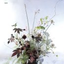 플로아트 이미지