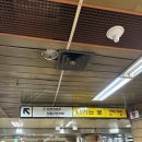 진원체육관 | YB Remastered 3.0 Transcendent 후기 | 장충에 잠들다...