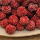 진한농장 이미지